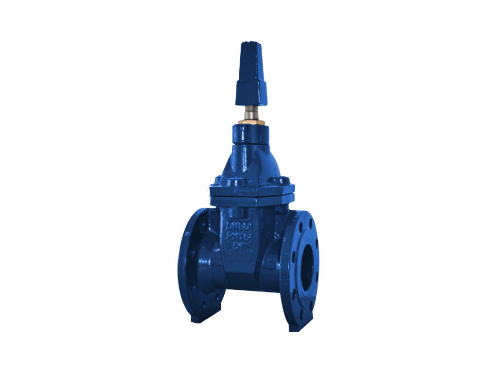 Non Rising Stem (NRS) Resilient Seat Gate Valve